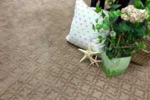 Carpet Remodel